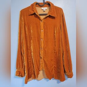 Coldwater Creek Velvet Rayon Silk Yellow Orange Button-down Shirt M